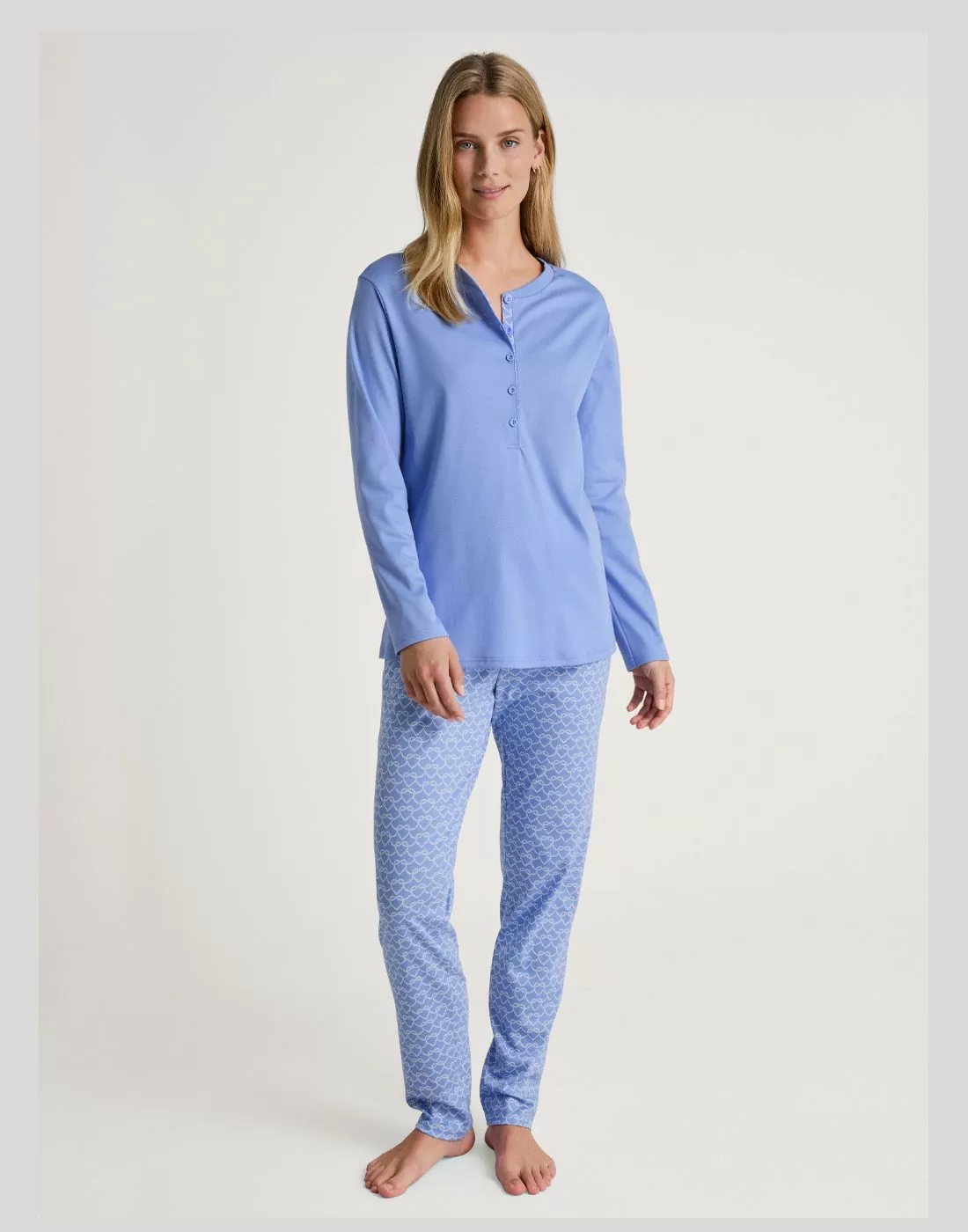 calida daylight dreams pysj hydrangea blue